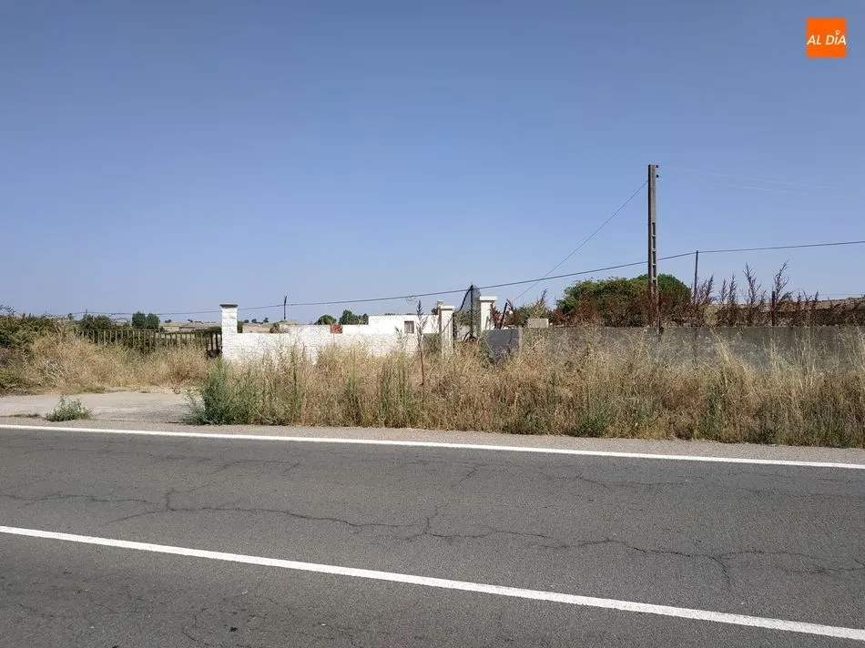 Foto 4 - Preocupaci&oacute;n por la falta de limpieza de las cunetas en la carretera de Salamanca a La Fregeneda