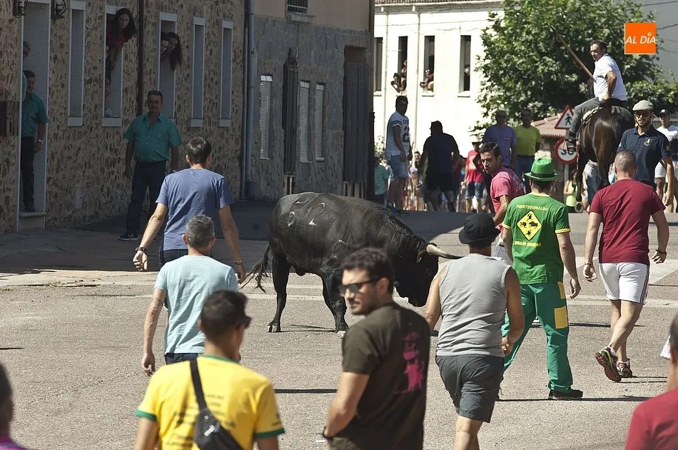 Foto 11 - Accidentado primer encierro a caballo de las fiestas de Fuenteguinaldo  
