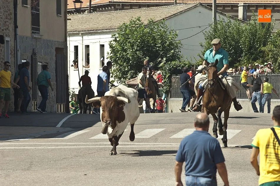 Foto 10 - Accidentado primer encierro a caballo de las fiestas de Fuenteguinaldo  