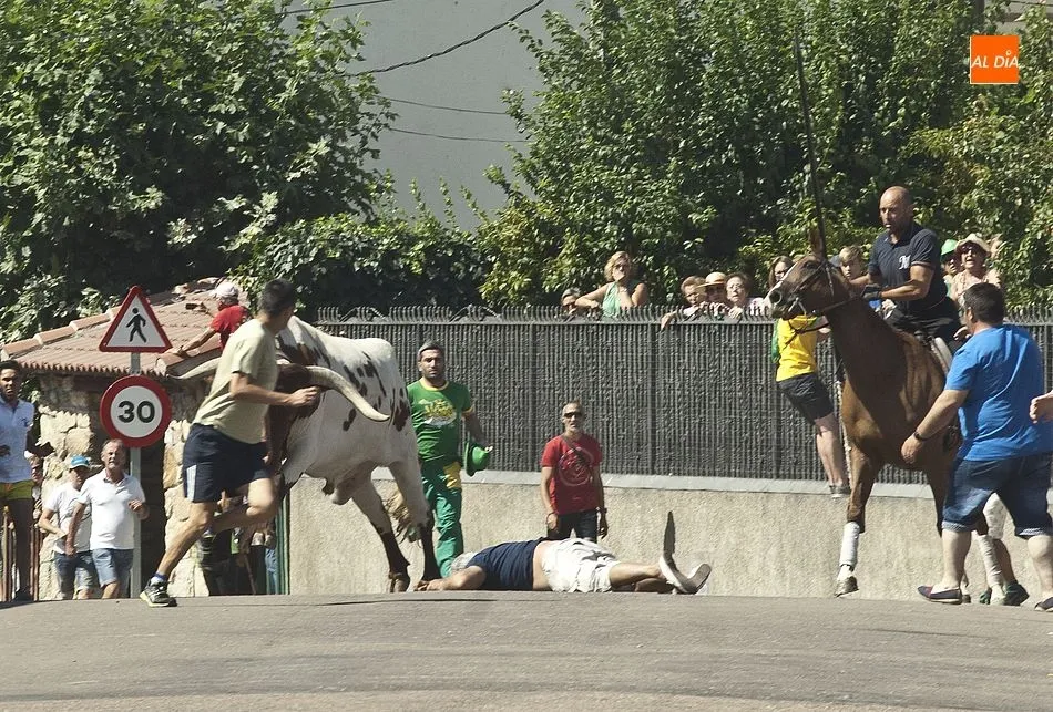 Foto 7 - Accidentado primer encierro a caballo de las fiestas de Fuenteguinaldo  
