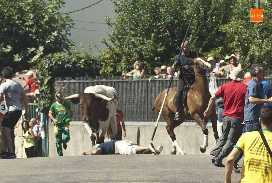 Foto 8 - Accidentado primer encierro a caballo de las fiestas de Fuenteguinaldo  