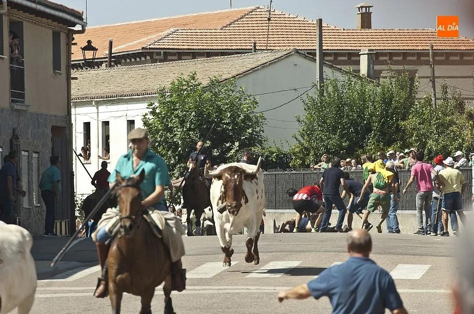 Foto 9 - Accidentado primer encierro a caballo de las fiestas de Fuenteguinaldo  