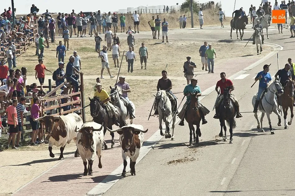 Foto 5 - Accidentado primer encierro a caballo de las fiestas de Fuenteguinaldo  
