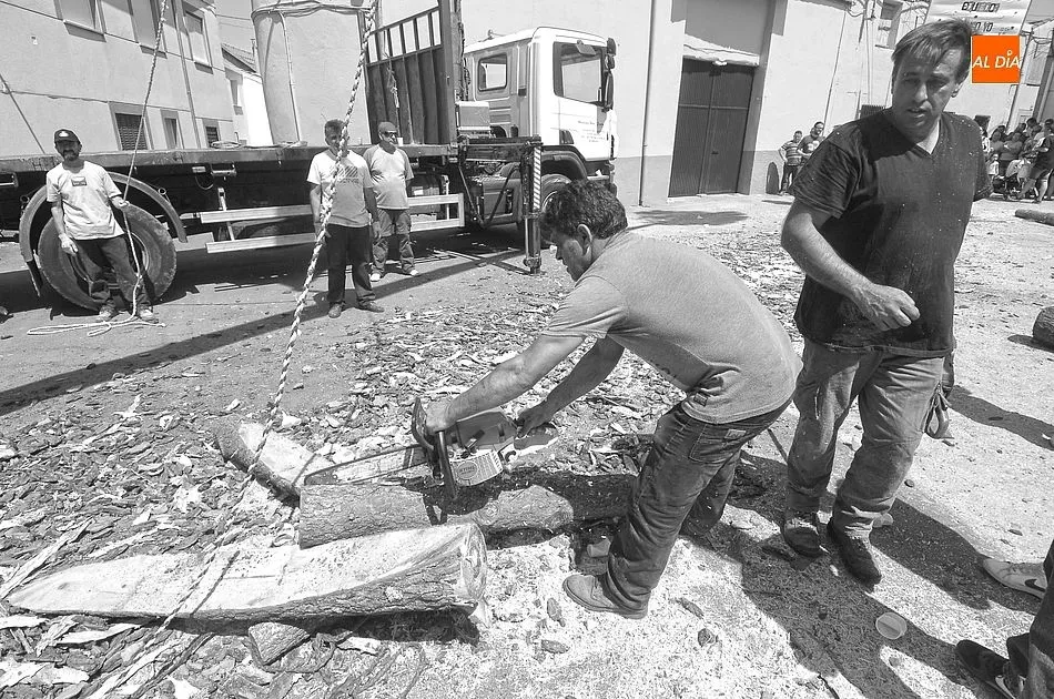 Foto 7 - Los quintos de Villasrubias izan un pino de 21 metros de altura  