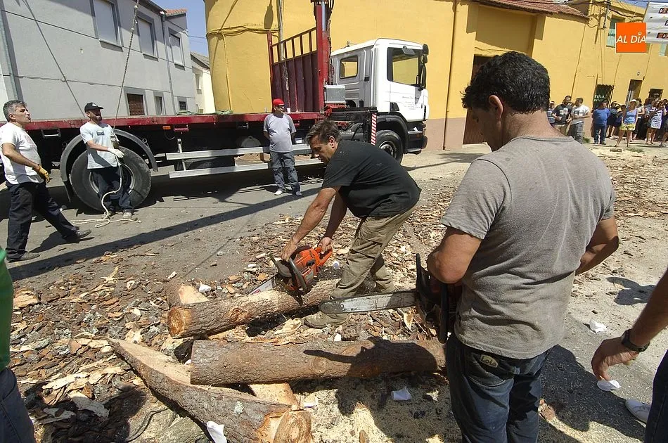 Foto 8 - Los quintos de Villasrubias izan un pino de 21 metros de altura  