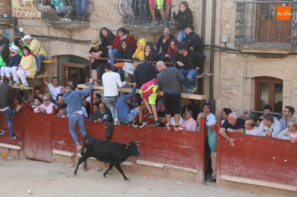 Foto 11 - Las pe&ntilde;as animan un vibrante primer encierro en Aldead&aacute;vila  