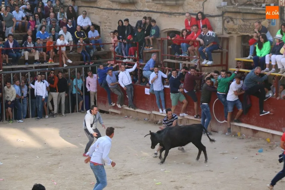 Foto 9 - Las pe&ntilde;as animan un vibrante primer encierro en Aldead&aacute;vila  