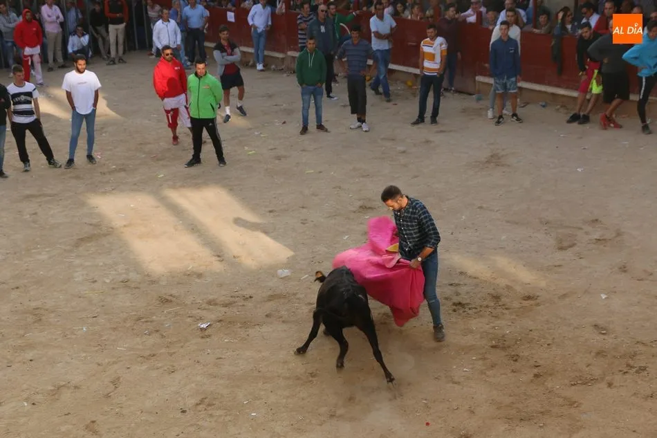 Foto 8 - Las pe&ntilde;as animan un vibrante primer encierro en Aldead&aacute;vila  