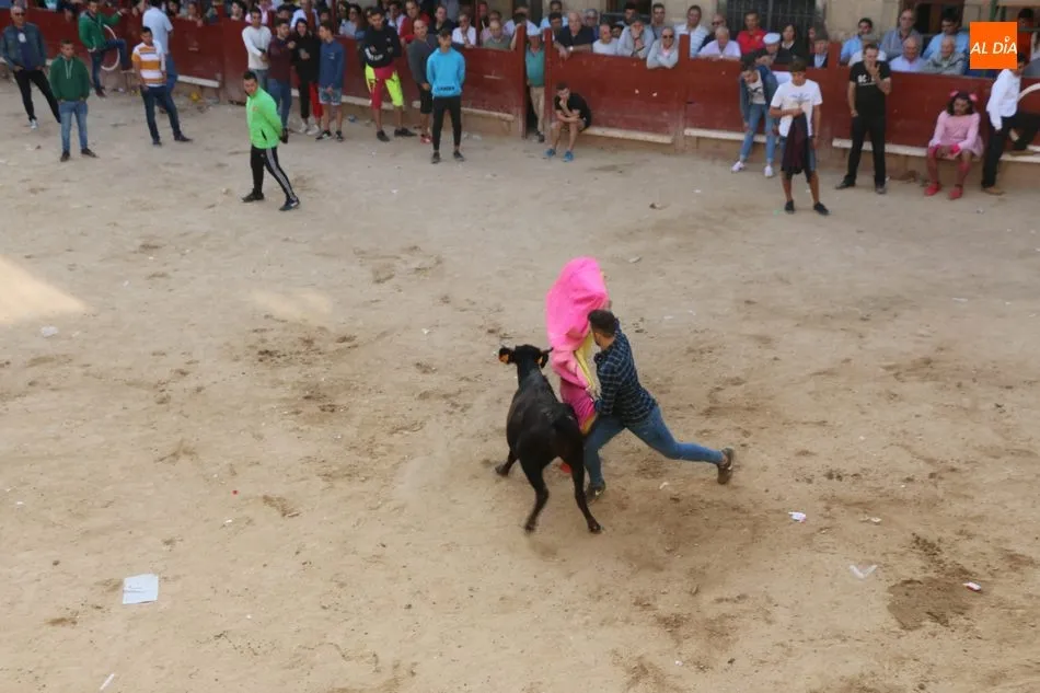 Foto 7 - Las pe&ntilde;as animan un vibrante primer encierro en Aldead&aacute;vila  
