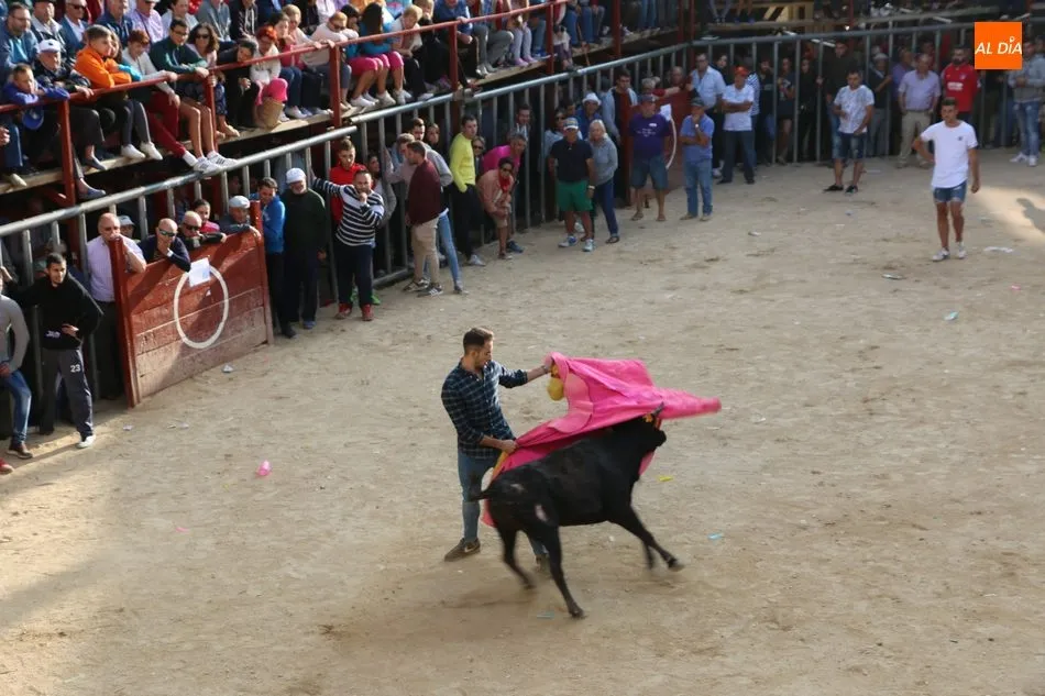 Foto 4 - Las pe&ntilde;as animan un vibrante primer encierro en Aldead&aacute;vila  
