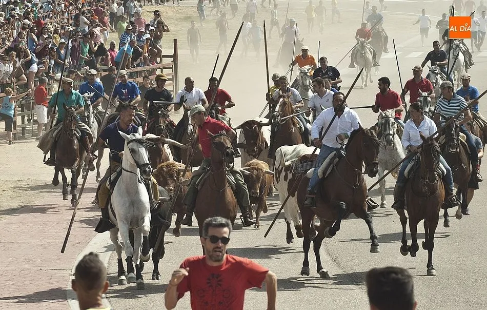 Foto 11 - R&aacute;pido segundo encierro en Fuenteguinaldo con una cornada a un caballo como principal incidencia  