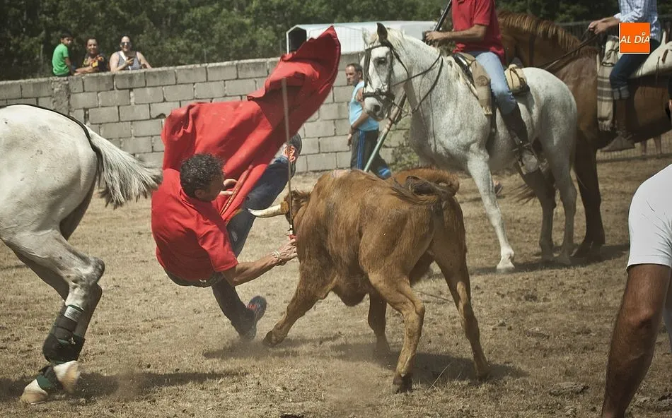 Foto 6 - Divertido y vistoso primer encierro en Villasrubias  
