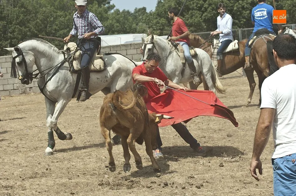 Foto 7 - Divertido y vistoso primer encierro en Villasrubias  