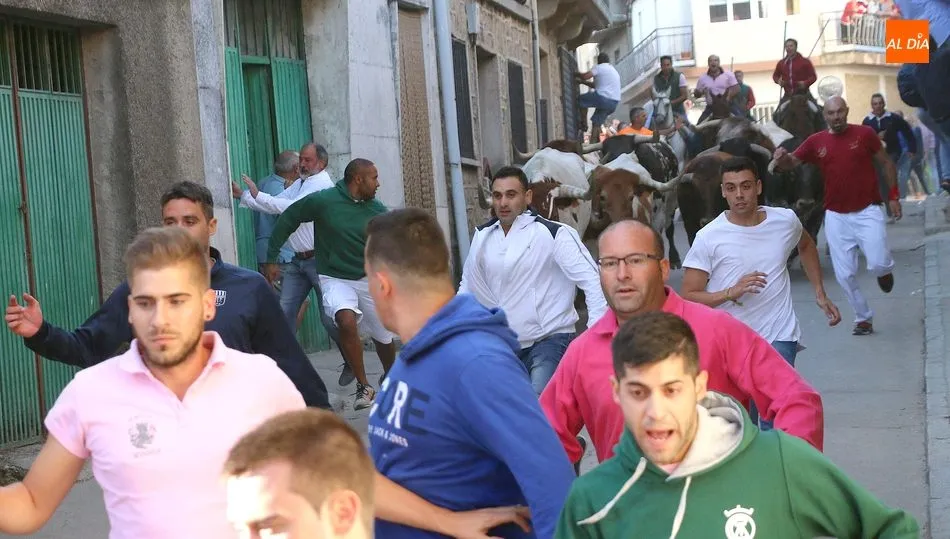El encierro de Valdeflores, segundo de las fiestas de Aldeadávila, discurrió limpio y sin incidentes / CORRAL Y MARIBEL SÁNCHEZ