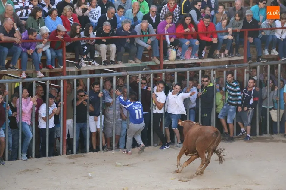 Foto 9 - Los novillos de Valdeflores ponen toda la emoci&oacute;n al segundo encierro de Aldead&aacute;vila