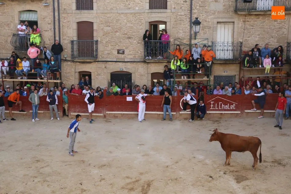 Foto 6 - Los novillos de Valdeflores ponen toda la emoci&oacute;n al segundo encierro de Aldead&aacute;vila