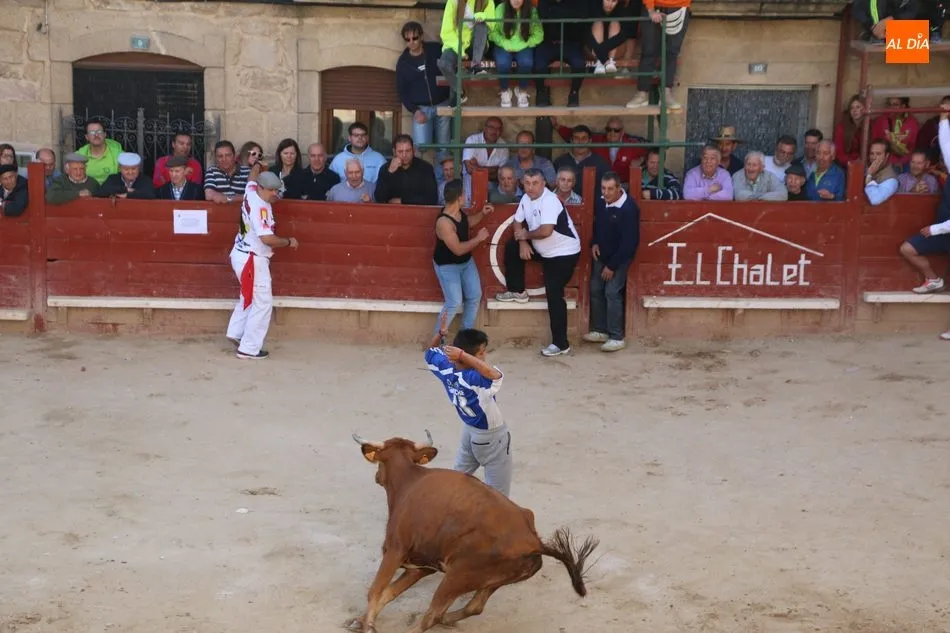 Foto 5 - Los novillos de Valdeflores ponen toda la emoci&oacute;n al segundo encierro de Aldead&aacute;vila