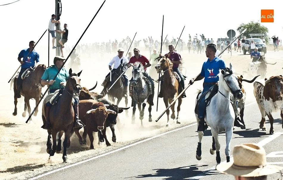 Foto 10 - Los caballistas arropan a la perfecci&oacute;n a la manada en el tercer encierro de Fuenteguinaldo  