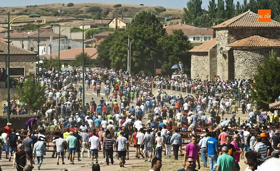 Foto 3 - Los caballistas arropan a la perfecci&oacute;n a la manada en el tercer encierro de Fuenteguinaldo  