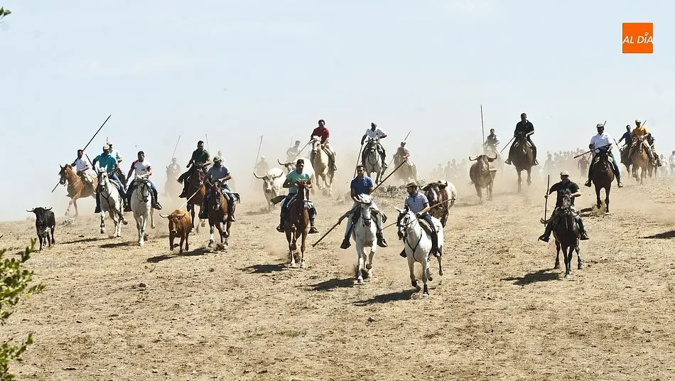 Espectacular bajada del encierro | Fotos Adrián Martín