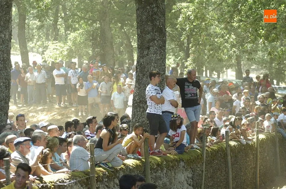 Foto 5 - Multitudinario encierro dominical en Villasrubias  
