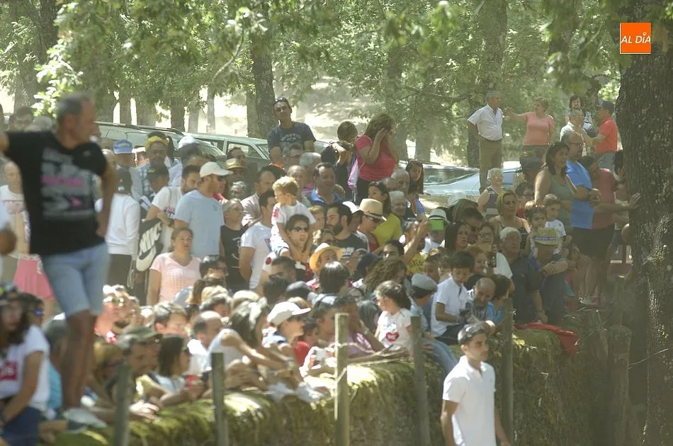 Foto 3 - Multitudinario encierro dominical en Villasrubias  