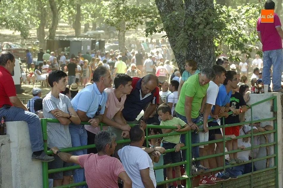 Foto 6 - Multitudinario encierro dominical en Villasrubias  
