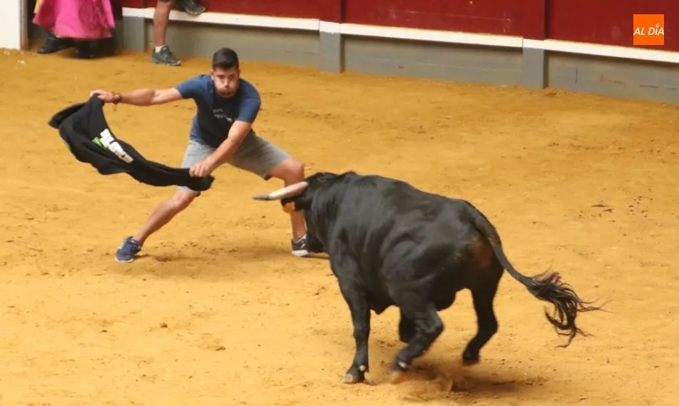 Galería de imágenes del encierro con vaquillas y posterior capea matinal del domingo