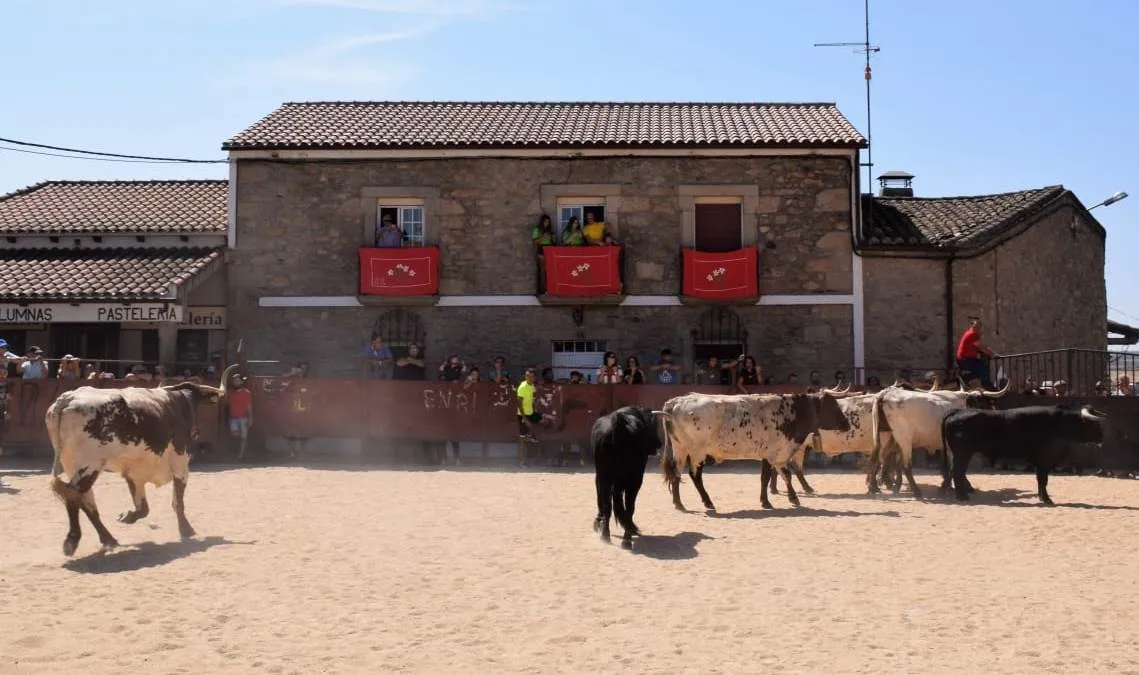 Foto 10 - Villar de Ciervo completa el marat&oacute;n de eventos taurinos dominicales en la comarca  