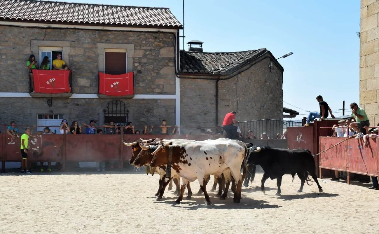 Foto 8 - Villar de Ciervo completa el marat&oacute;n de eventos taurinos dominicales en la comarca  