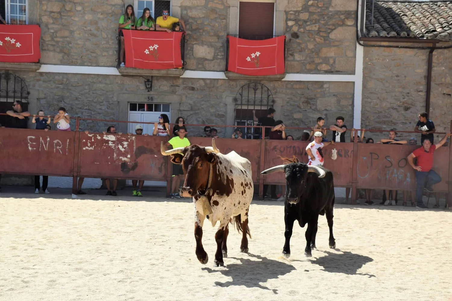 Foto 3 - Villar de Ciervo completa el marat&oacute;n de eventos taurinos dominicales en la comarca  