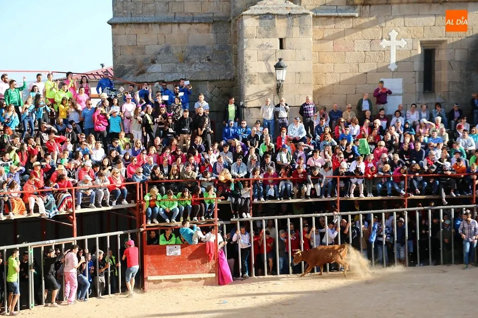 Foto 10 - Bonito tercer encierro de Aldead&aacute;vila con novillos de Domingo L&oacute;pez Chaves  