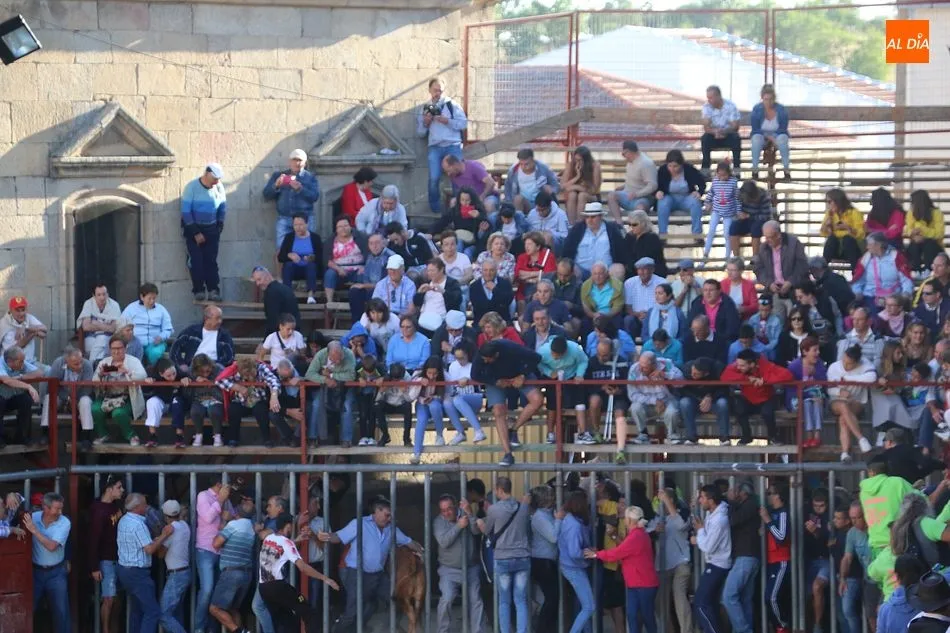Foto 9 - Bonito tercer encierro de Aldead&aacute;vila con novillos de Domingo L&oacute;pez Chaves  