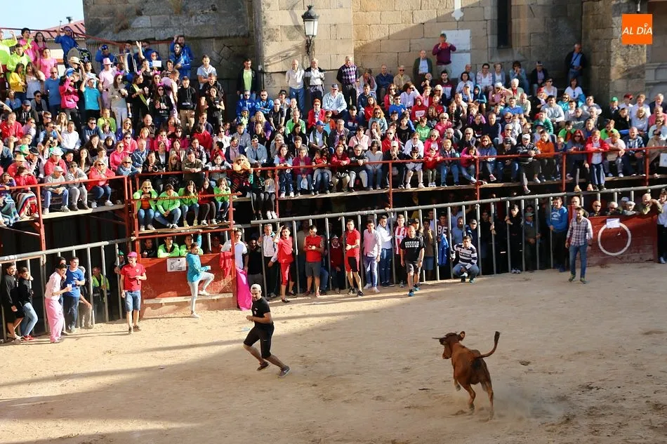 Foto 8 - Bonito tercer encierro de Aldead&aacute;vila con novillos de Domingo L&oacute;pez Chaves  
