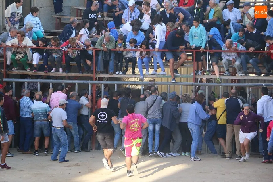 Foto 7 - Bonito tercer encierro de Aldead&aacute;vila con novillos de Domingo L&oacute;pez Chaves  