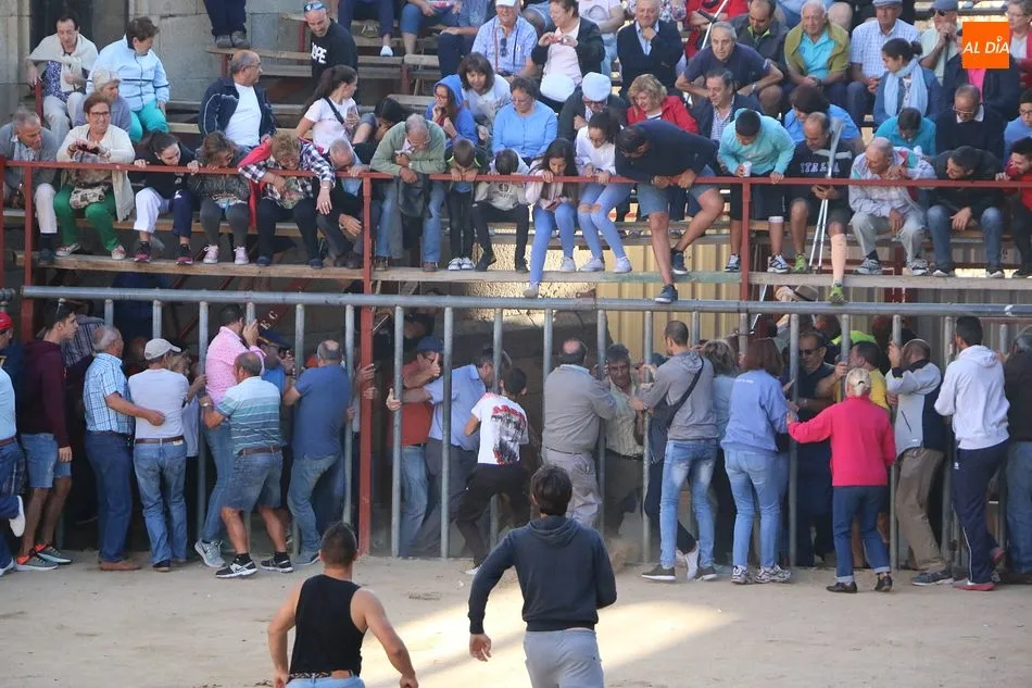 Foto 6 - Bonito tercer encierro de Aldead&aacute;vila con novillos de Domingo L&oacute;pez Chaves  