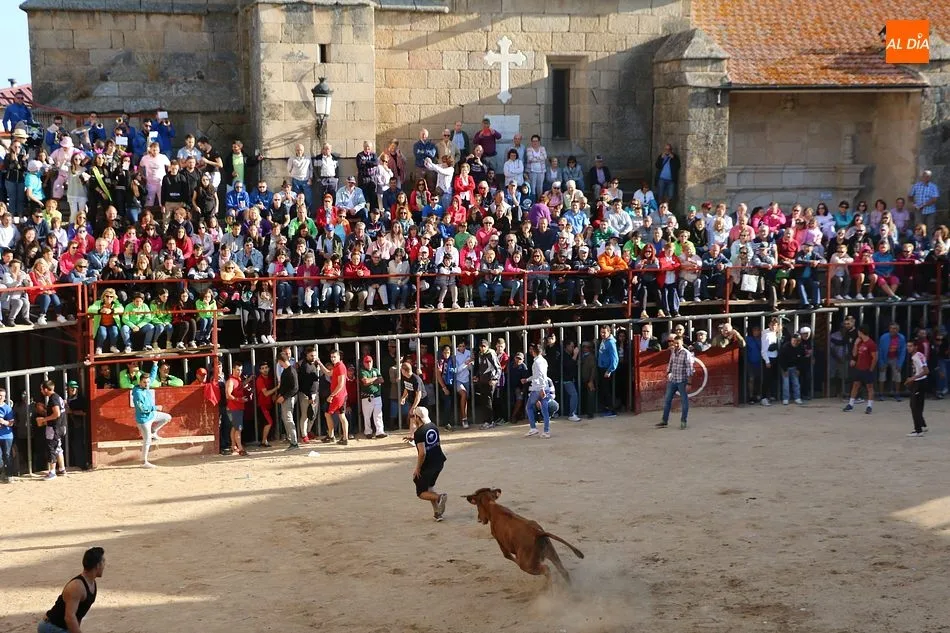 Foto 4 - Bonito tercer encierro de Aldead&aacute;vila con novillos de Domingo L&oacute;pez Chaves  