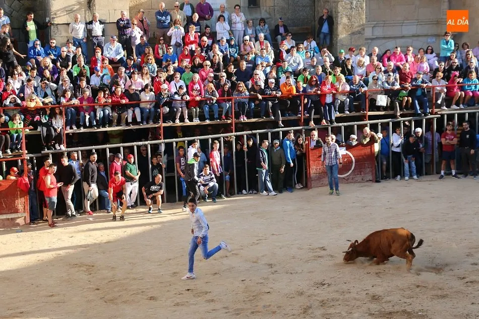 Foto 3 - Bonito tercer encierro de Aldead&aacute;vila con novillos de Domingo L&oacute;pez Chaves  