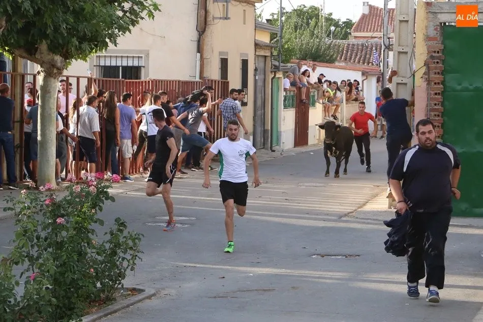 Foto 8 - Villaflores vibra con el segundo encierro de las fiestas