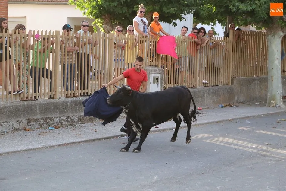 Foto 7 - Villaflores vibra con el segundo encierro de las fiestas