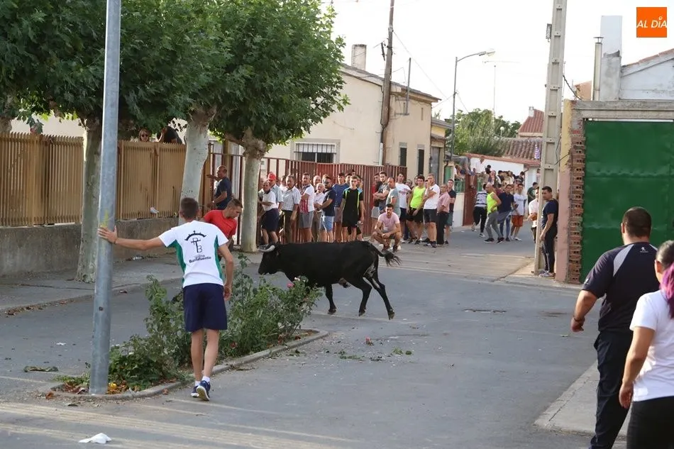 Foto 6 - Villaflores vibra con el segundo encierro de las fiestas