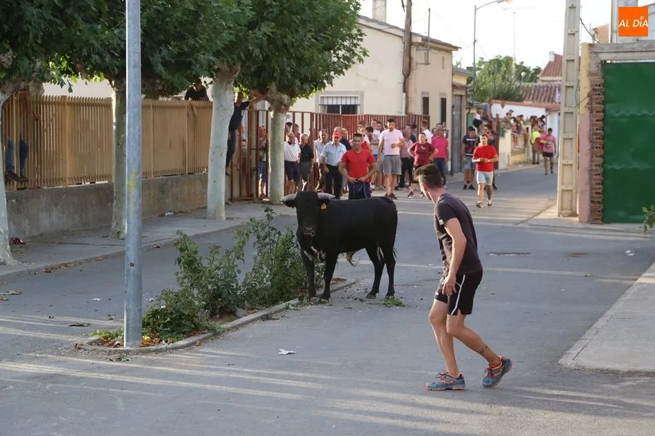 Foto 5 - Villaflores vibra con el segundo encierro de las fiestas