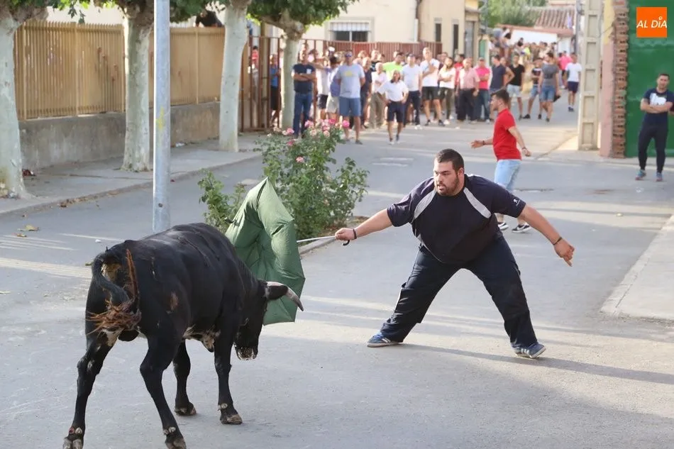 Foto 3 - Villaflores vibra con el segundo encierro de las fiestas