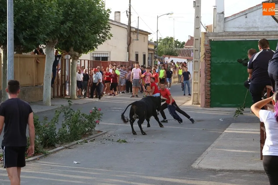 Villaflores vibra con el segundo encierro de las fiestas