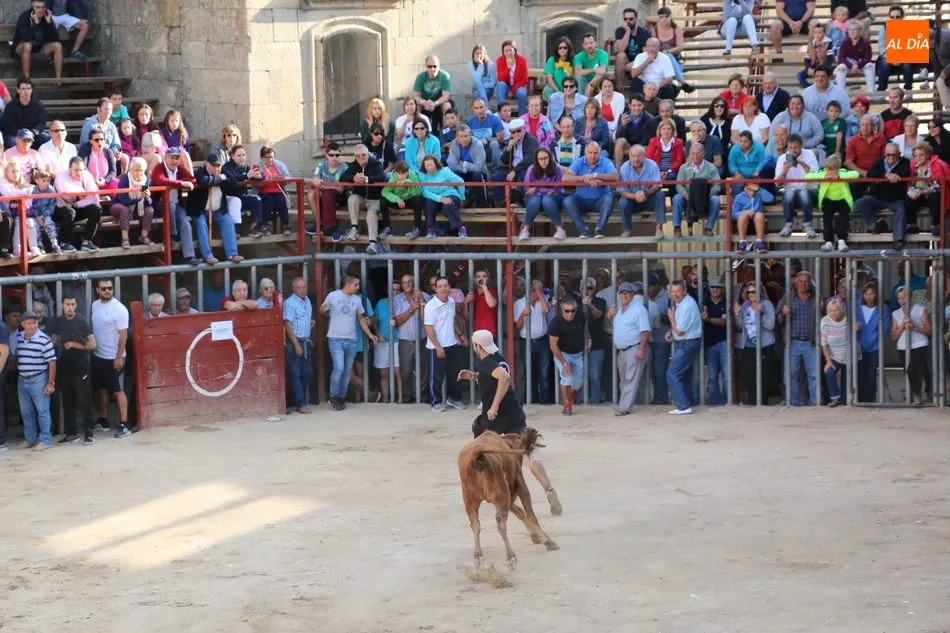 Foto 5 - Complicado cuarto encierro de Aldead&aacute;vila con novillos de Valrubio y susto en la plaza  