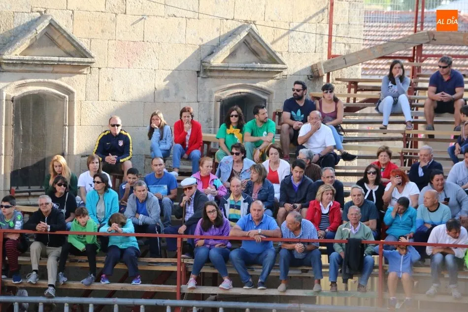 Foto 4 - Complicado cuarto encierro de Aldead&aacute;vila con novillos de Valrubio y susto en la plaza  