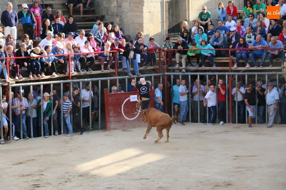Foto 3 - Complicado cuarto encierro de Aldead&aacute;vila con novillos de Valrubio y susto en la plaza  