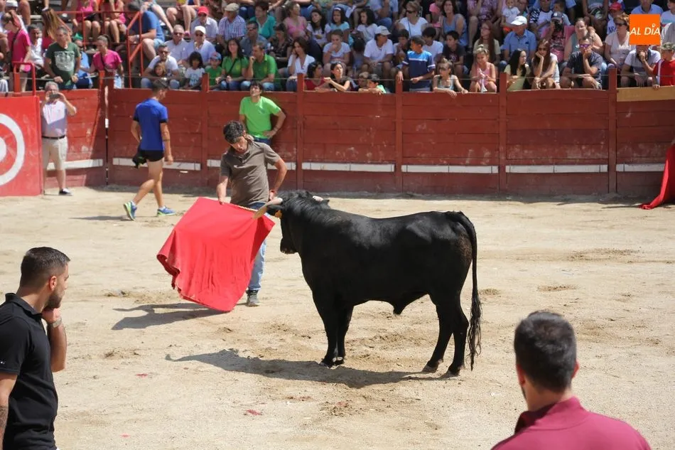 Foto 6 - Emocionante primer encierro de Villavieja deYeltes con novillos de Galache Cobaleda