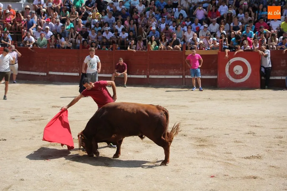 Foto 5 - Emocionante primer encierro de Villavieja deYeltes con novillos de Galache Cobaleda