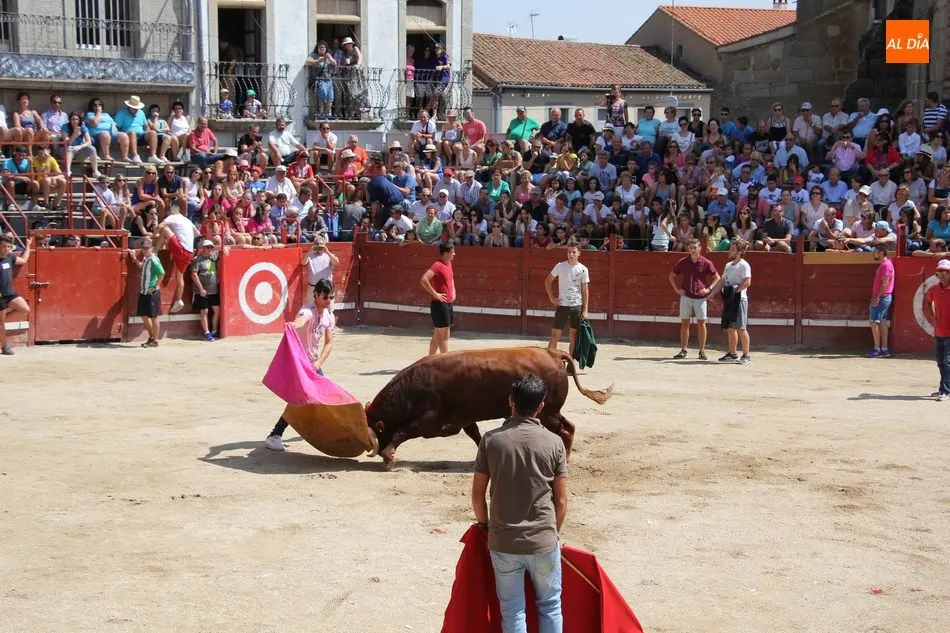 Foto 3 - Emocionante primer encierro de Villavieja deYeltes con novillos de Galache Cobaleda